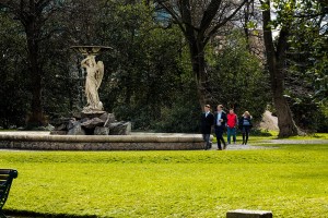 Iveagh Gardens